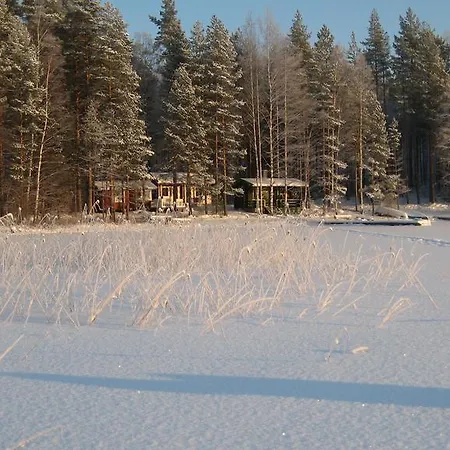 Nestorinranta * Lintusalo