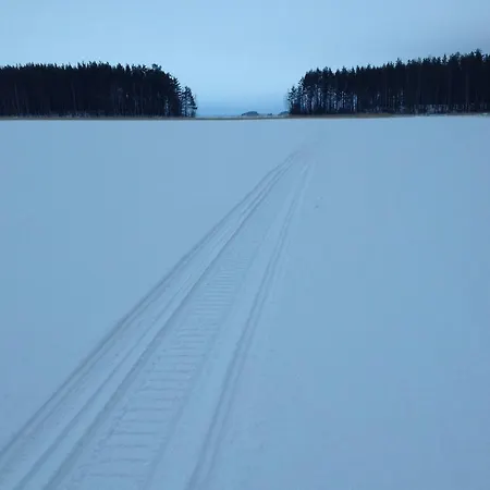 Nestorinranta Вилла