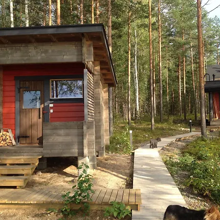 Nestorinranta Линтусало