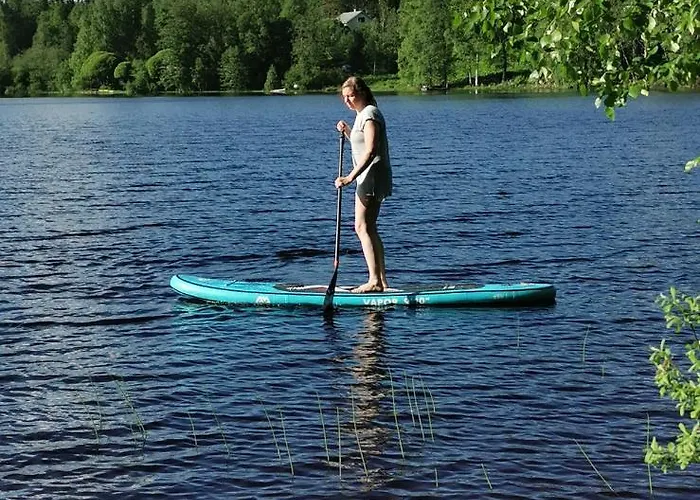 Villa Nestorinranta *