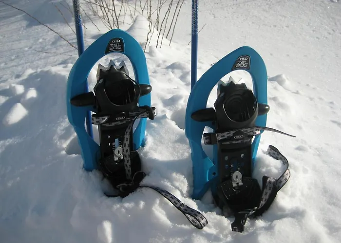 Nestorinranta Villa *