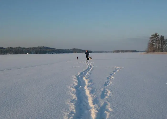 Nestorinranta Villa Lintusalo