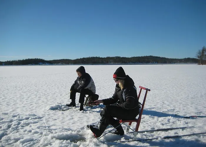 Nestorinranta * Lintusalo