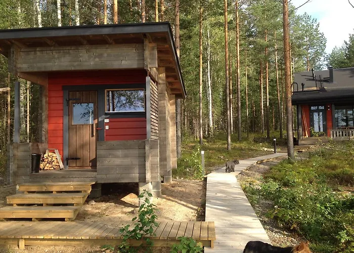 Nestorinranta Lintusalo